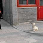 Beijing Hutongs Apr-May09 109