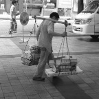 Misc Bamboo Men > Focale2010  4872