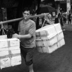 Misc Bamboo Men > Focale2010  4879